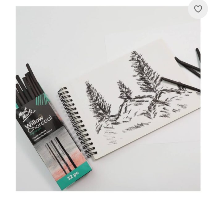 willow charcoal 3