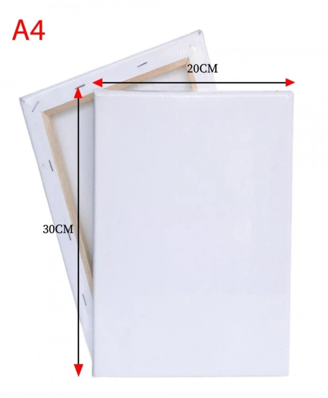 20cm by 30cm canvas board image 23