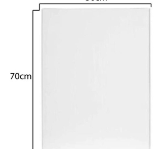 50cm x 70cm canvas image 2