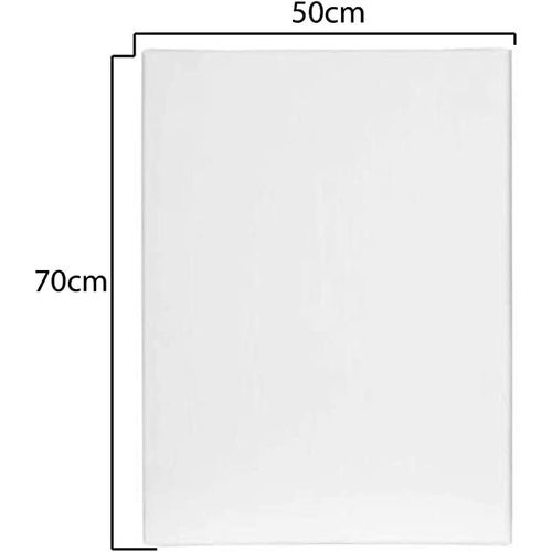 50cm x 70cm canvas image 2