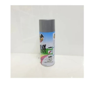 silver spray paint
