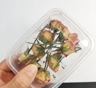 dried flowers