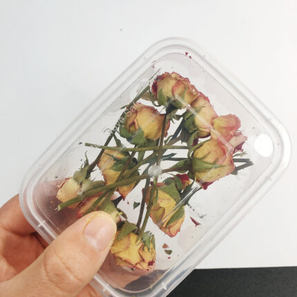dried flowers