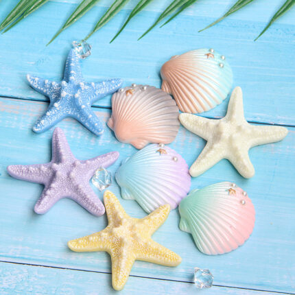 Sea Shells XC816 -37