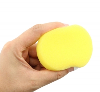 Sponge image 1