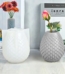 XCHP231025 1 image 3