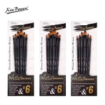 Artist Paint Brush Set 6pcs HB-3406-6D