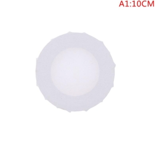 10cm round canvas 2