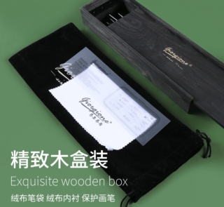 Black Swan Brush set GS 300 2