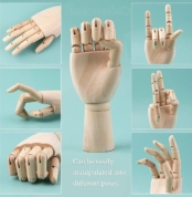 Male Hand 8 inch 3