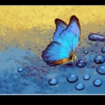 Paint By Numbers- Butterfly- 40 by 40cm -JK314