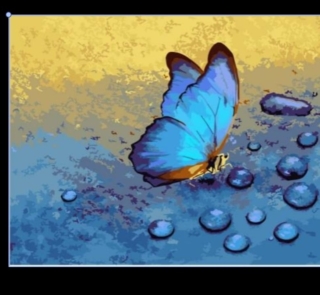 paint by number butterfly