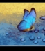 paint by number butterfly
