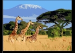 Paint By Numbers- Giraffe- 40 by 40cm -JK308