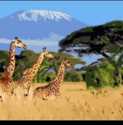 paint by number giraffe