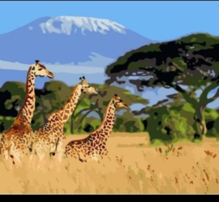 paint by number giraffe