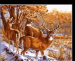 Paint By Numbers- Deer- 30 by 30cm -JK304