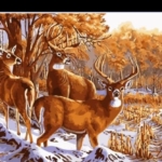 Paint By Numbers- Deer- 30 by 30cm -JK304