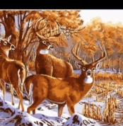 paint by numbers deers 1