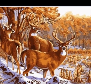 paint by numbers deers 1