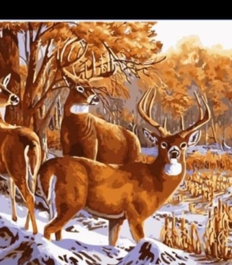 paint by numbers deers 1