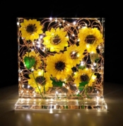 Resin art with LED lights in kenya